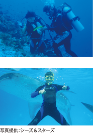 セブ島アクティビティ